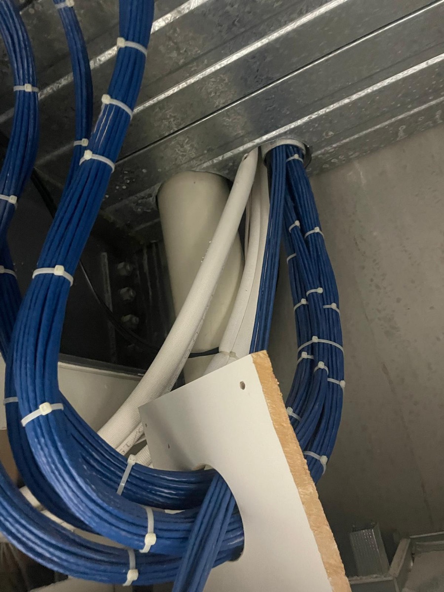 Bundled blue Cat6 cabling run along structural steel beams