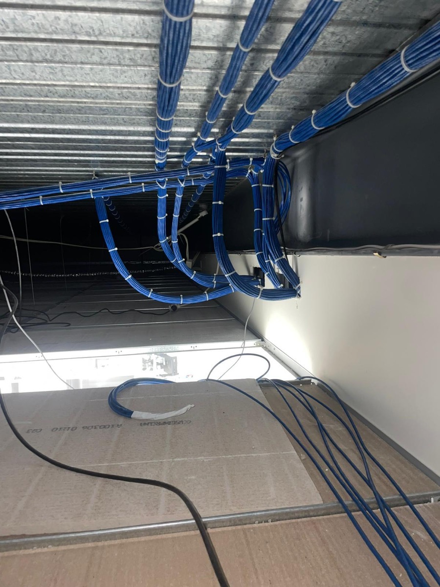 Bundled Cat6 data cabling dressed along ceiling cable trays